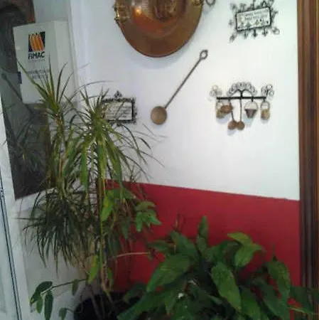 Internacional