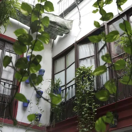 Guest house Internacional