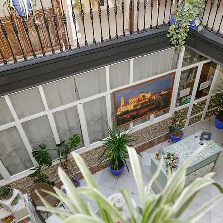 Internacional Πανσιόν 3*