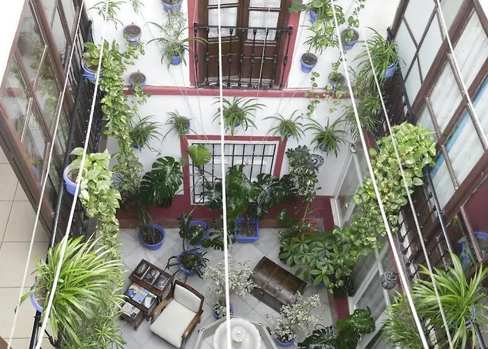 Internacional Кордова